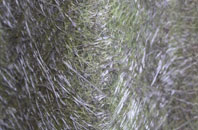 Burley fibreglass roof work